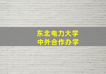 东北电力大学 中外合作办学